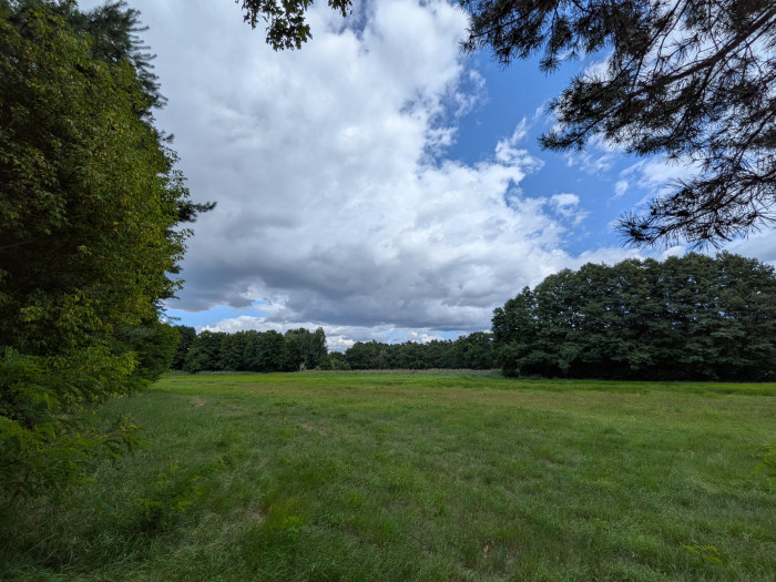 Bei der Superweitwinkelkamera macht das Pixel 10 etwas kühlere Bilder ...